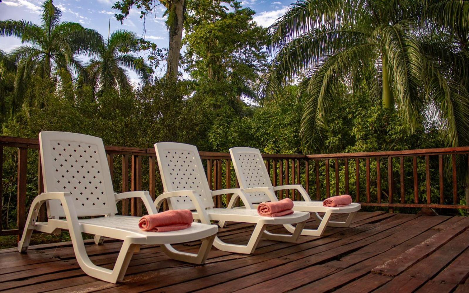 Casa Heliconia - Spacious, Big Garden, Close To The Beach Puerto Viejo de Talamanca Exterior foto