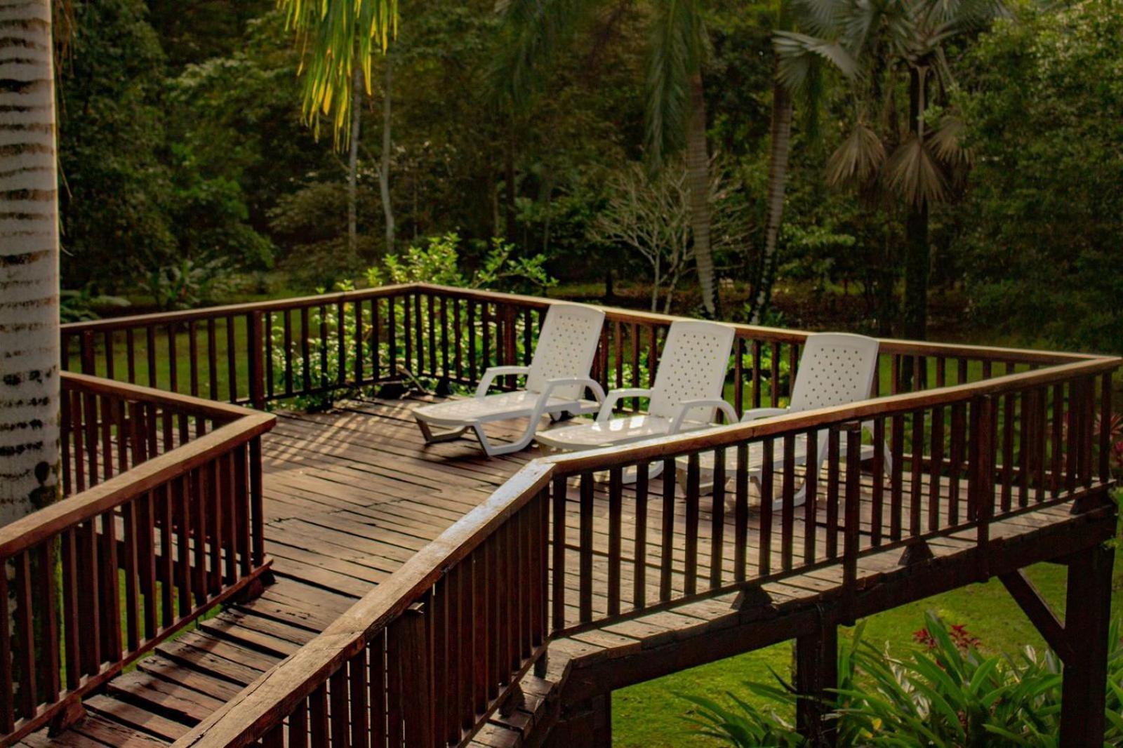 Casa Heliconia - Spacious, Big Garden, Close To The Beach Puerto Viejo de Talamanca Exterior foto